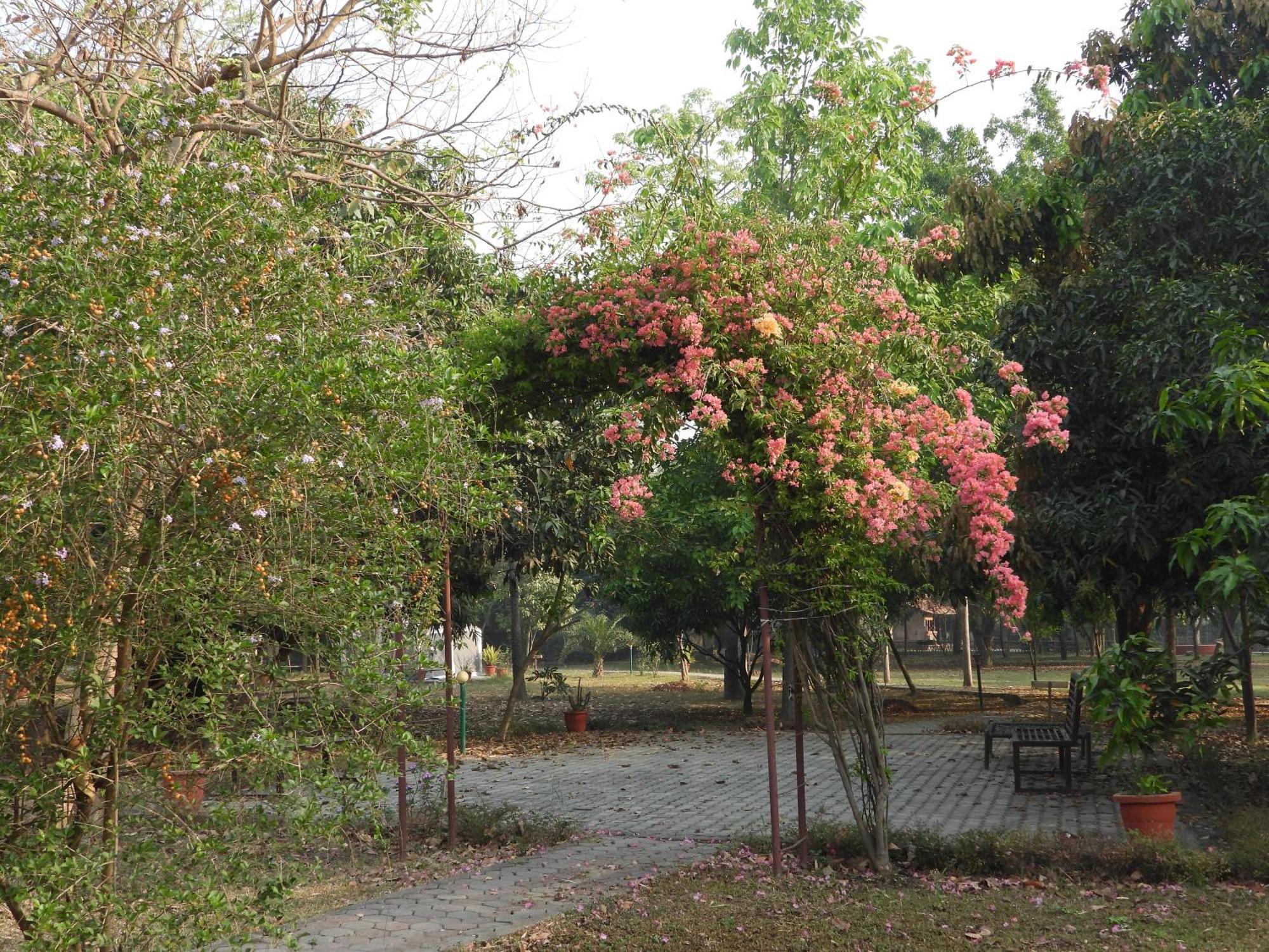 Lumbini Buddha Garden Resort Exterior photo